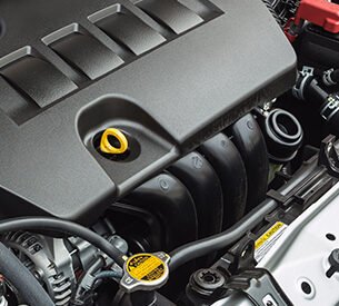 category-overlay-3 category-overlay-3